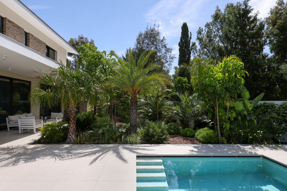 Clearing work by GardenWorks in Limassol